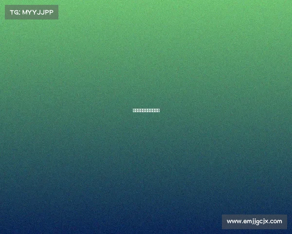 赛事用球—赛事用球几号